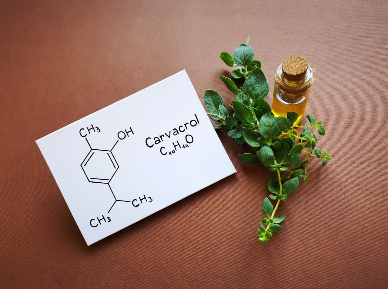 Carvacrol und Thymoquinon als natürliche Wirkstoffe aus Oregano und Schwarzkümmel für den Darm